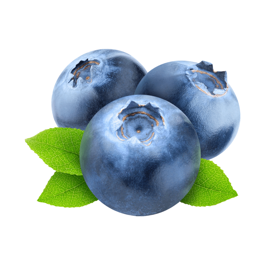 Shisha Leafa Blueberry Herbal Shisha, natural and tobacco-free with a rich blueberry flavor, perfect for smooth and flavorful hookah sessions.