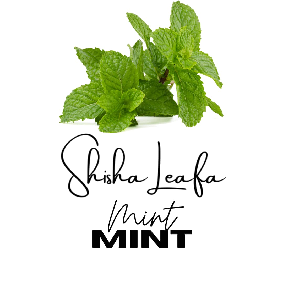 Shisha Leafa Mint Logo