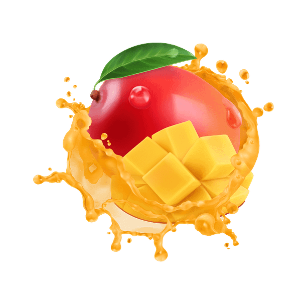 Rental - Mango -1 Hour - Image 4
