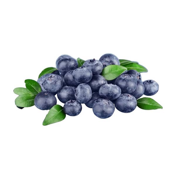 Rental - Blueberry -1 Hour - Image 2