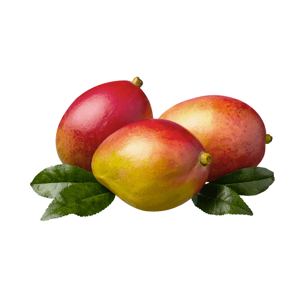 Mango - Image 7