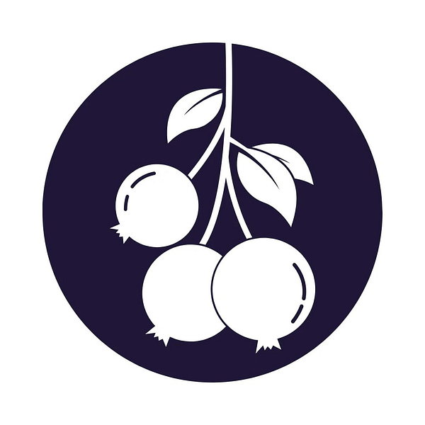Blueberry - Image 7