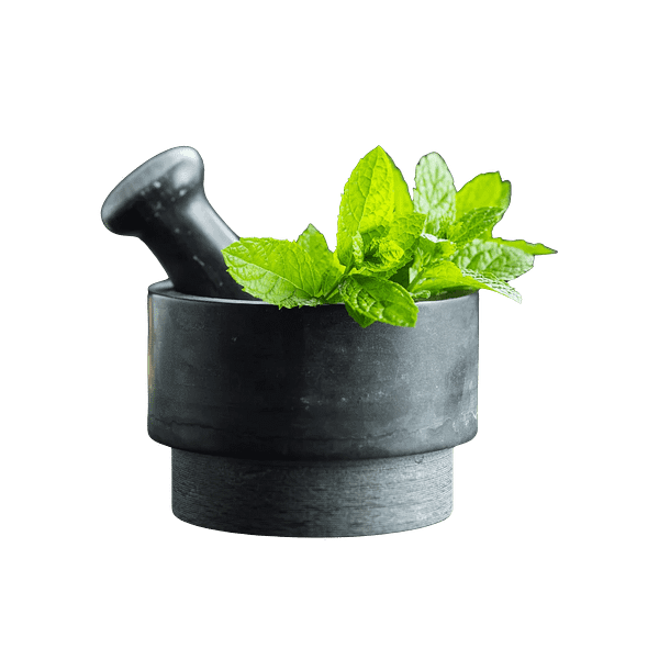 Mint - Image 7