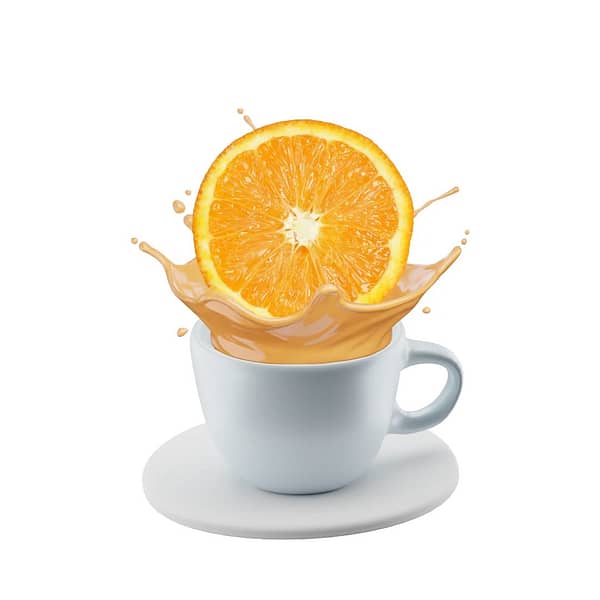 Rental - Orange Chai Latte -1 Hour - Image 5