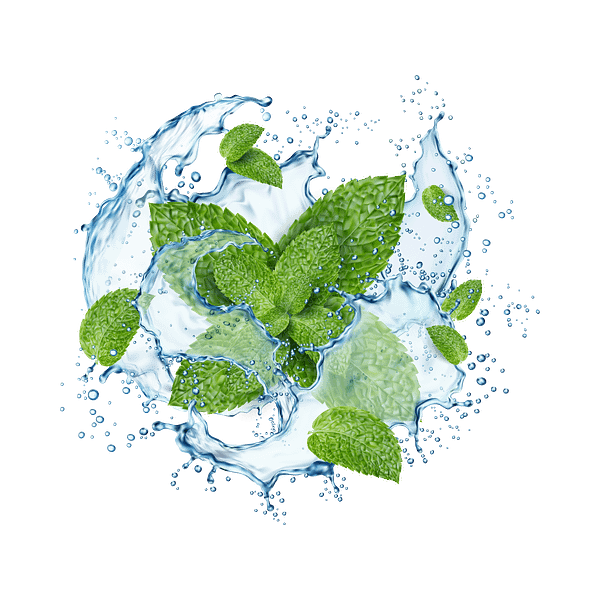 Mint - Image 5