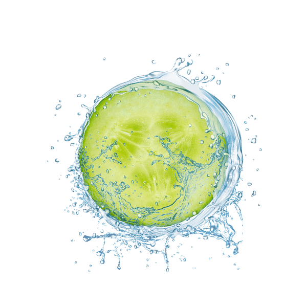 Cucumber - Image 2