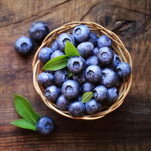 Blueberry - Image 5