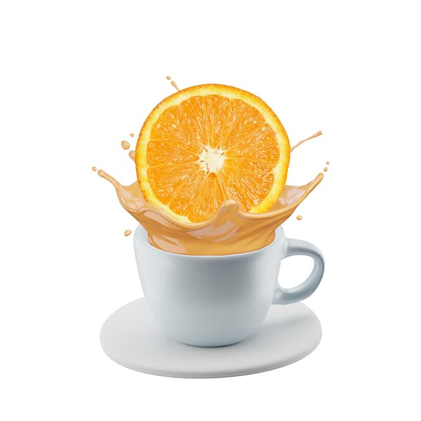 Rental - Orange Chai Latte -1 Hour - Image 5