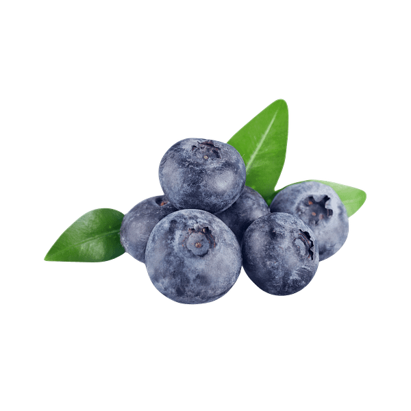 Blueberry