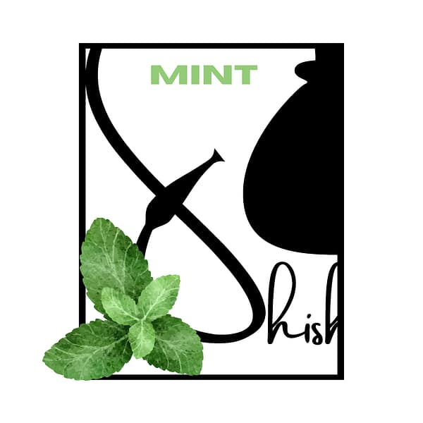 Rental - Mint -1 Hour